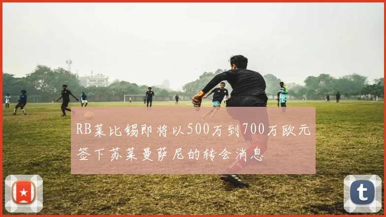 RB莱比锡即将以500万到700万欧元签下苏莱曼萨尼的转会消息