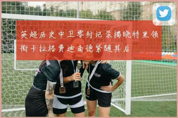 英超历史中卫零封记录揭晓特里领衔卡拉格费迪南德紧随其后