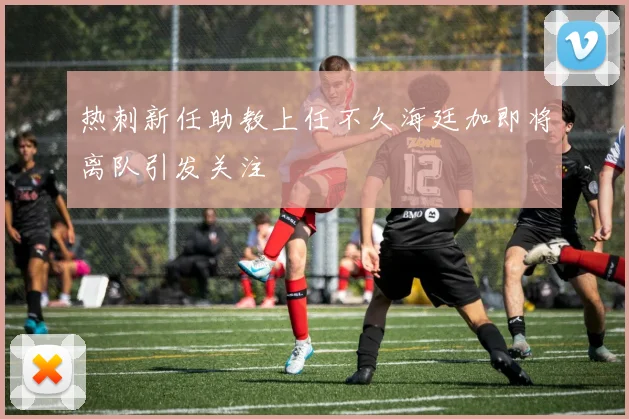 热刺新任助教上任不久海廷加即将离队引发关注